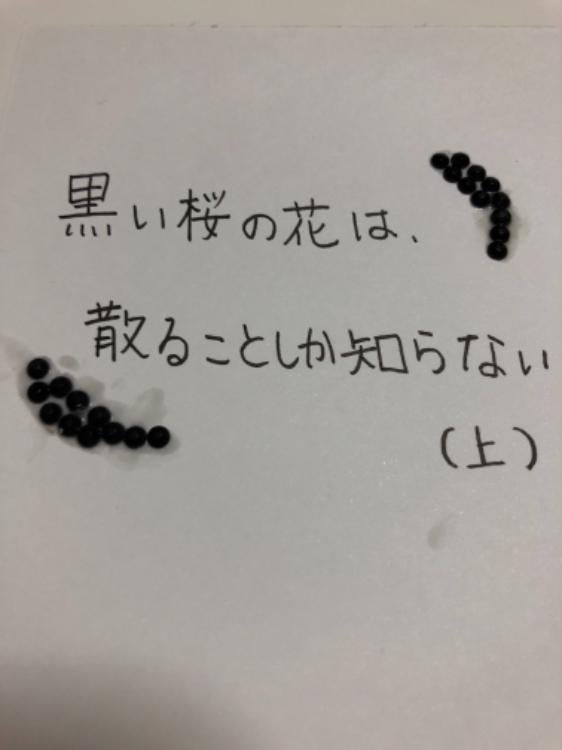 黒い桜の花は、散ることしか知らない（上）