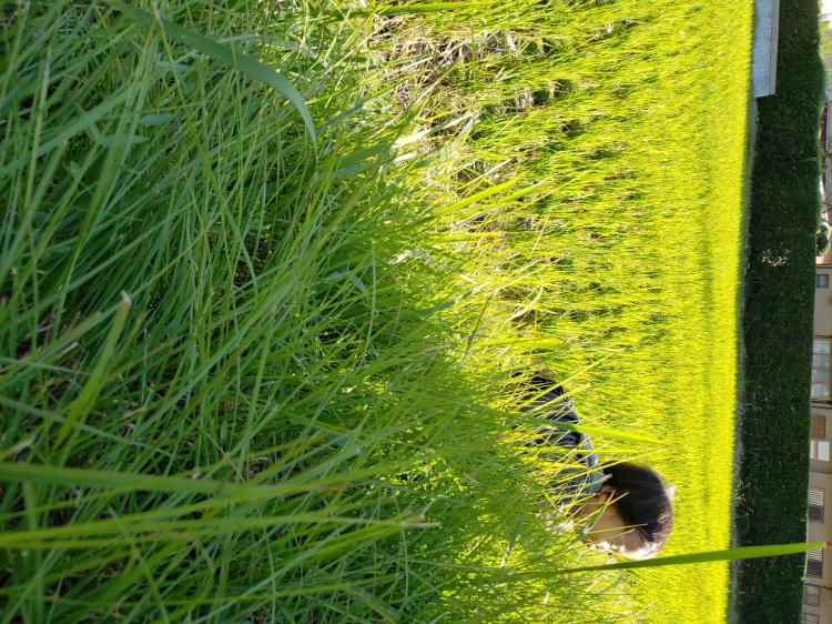 あのときの月たち