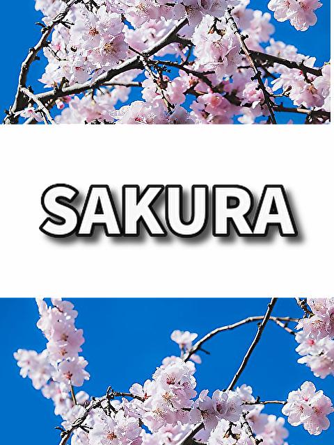 SAKURA【歌詞】