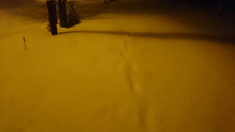 もしも私から怒りという感情が消え去れば