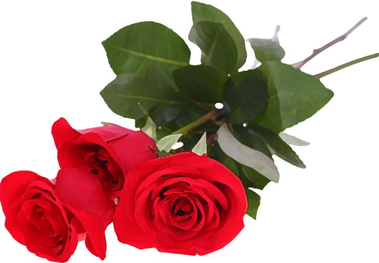 ・・・だって、大切なあなただから（続　・・・だって、大切な２人だから）