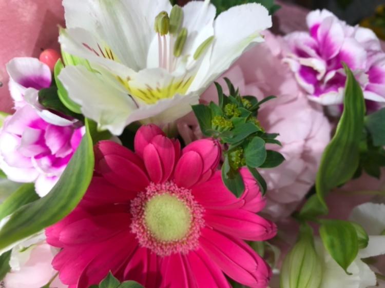 お嬢様と呼ばないで