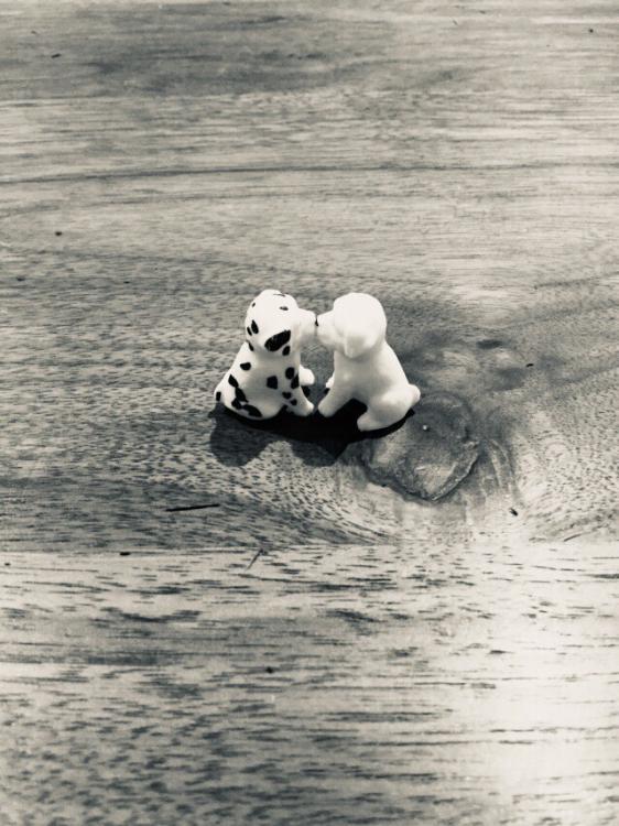 私の自己紹介！