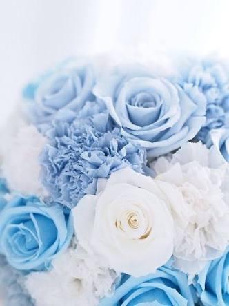 不埒な旦那様に愛されて~婚約した相手はラスボス級の権力を持つ冷たい旦那さまでした。