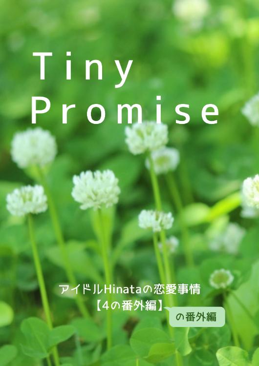 Tiny Promise ～アイドルHinataの恋愛事情【４の番外編のおまけ】～