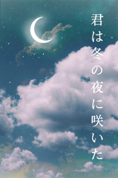 君は冬の夜に咲いた【完】