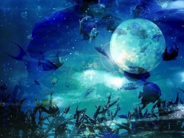 雫が落ちる度(短編)