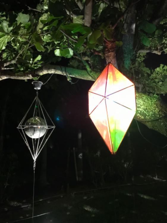 冷徹な総長様がただの幹部(私)を溺愛してくる