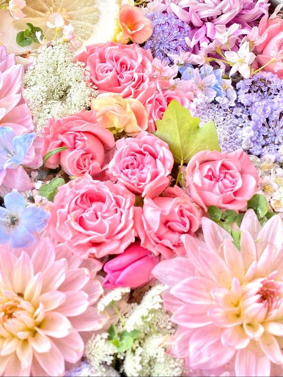 恋した先輩には病みがある！？