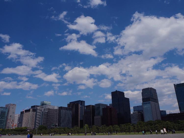 君にまつわるエトセトラ【完】