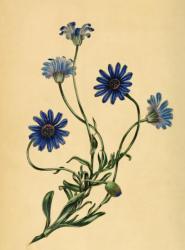 隣の領主と悪役令嬢