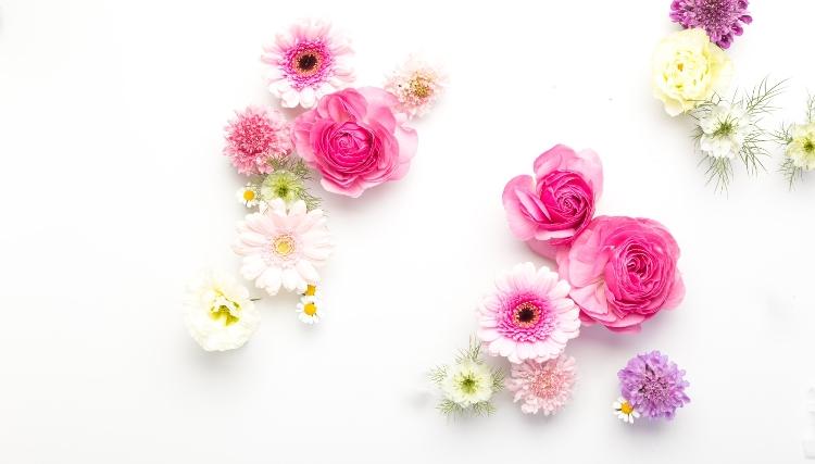 ＬＯＶＥ　ＢＩＲＤ～生きづらい鳥たちへ