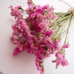 あのね、先生。