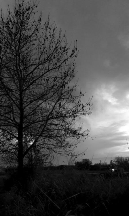 学校カクレンボ