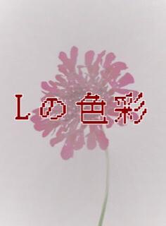 Lの色彩