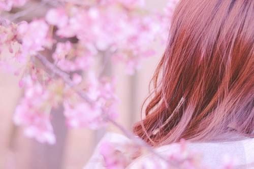 あの丘でもう一度。