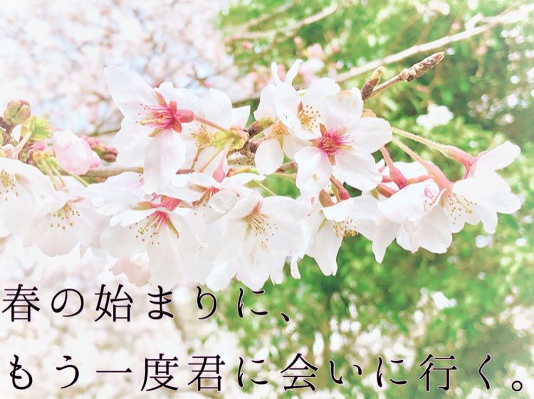 春の始まりに、もう一度君に会いに行く。