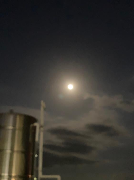 死にたがり屋の少女は暴走族と･･･