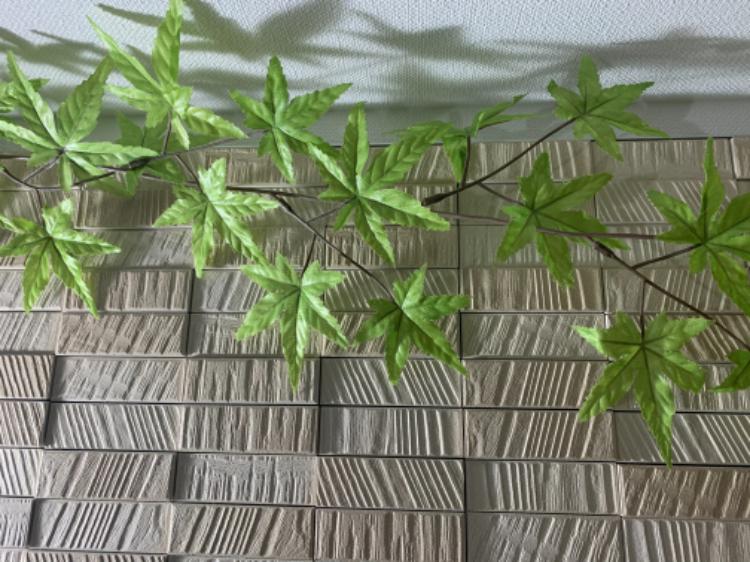 強引な彼にすっかり振り回されています