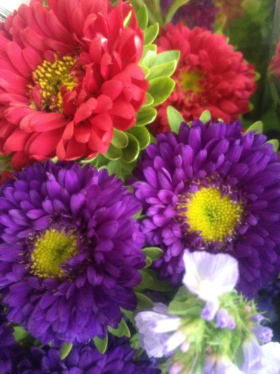 大胆不敵な魔女様は、悪役令嬢も、疑恋人だってできちゃうんです。