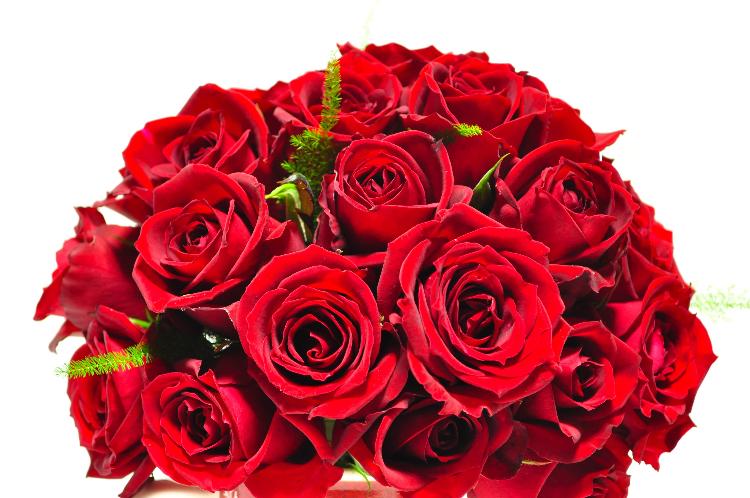 君だけを見ていた ~Beautiful Days