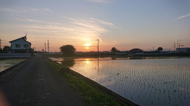 大嫌い 本当は大好き