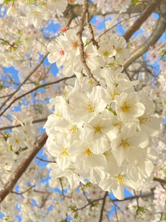 自己紹介(進化版?)