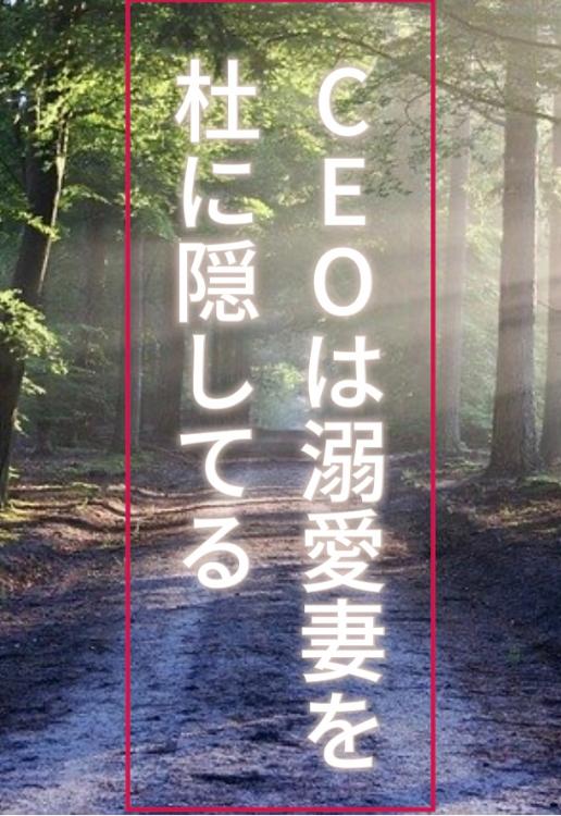 【改訂版】CEOは溺愛妻を杜に隠してる