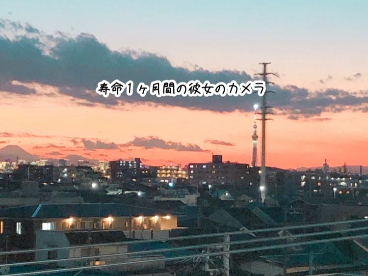 寿命１ヶ月間の彼女のカメラ