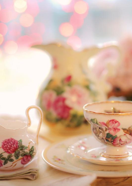 男装令嬢は双子の兄のために縁談を蹴りに行きます