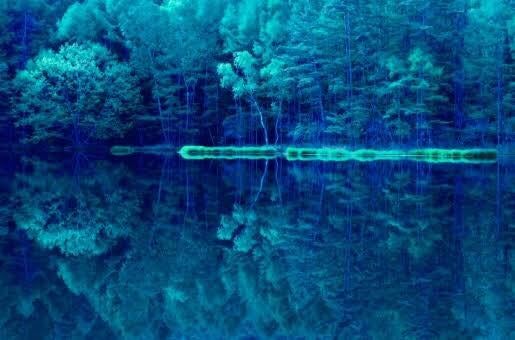 『ただ、君だけを愛したくて』