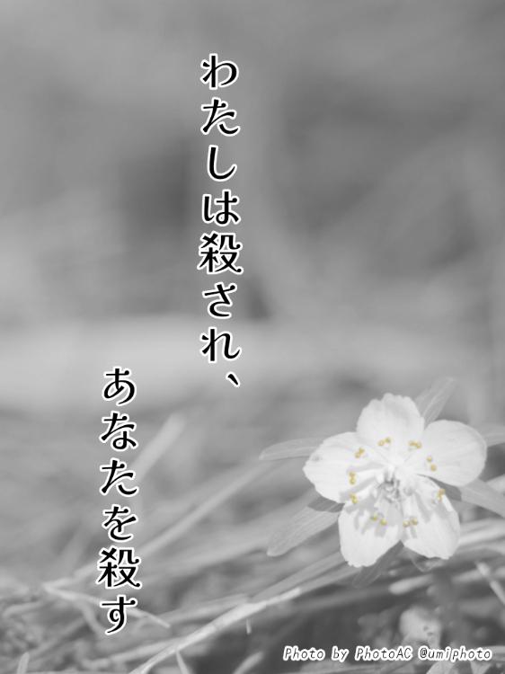 わたしは殺され、あなたを殺す