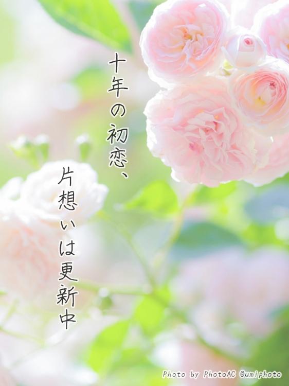 十年の初恋、片想いは更新中