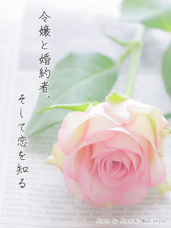 令嬢と婚約者、そして恋を知る