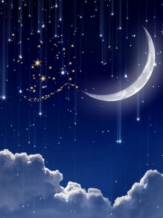 最後の夏をもう一度