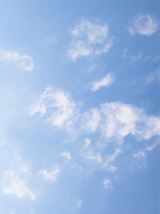 夜空にキミと誓のキスを