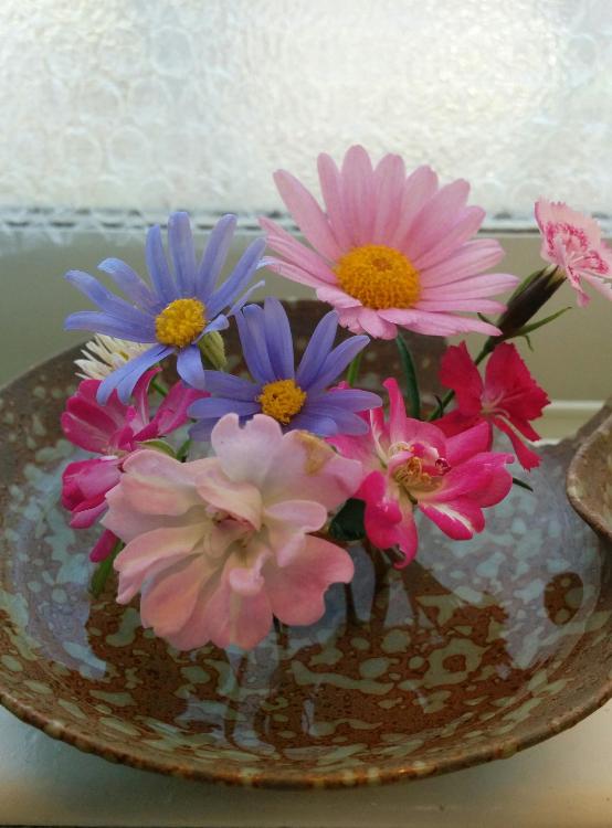 パントゥーフル　～スリッパの乱～