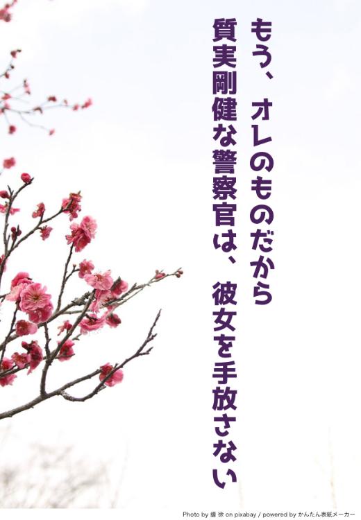 もう、オレのものだから〜質実剛健な警察官は、彼女を手放さない〜