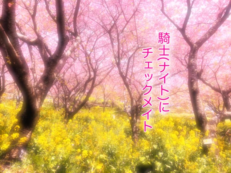 騎士(ナイト)に　チェックメイト