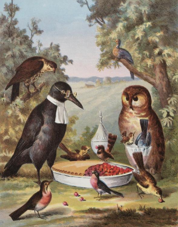 妖精の追憶（占いおばちゃん鑑定シリーズ・２）