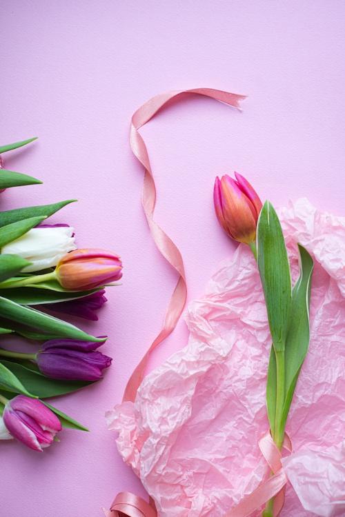 ピンクの姫が無自覚攻撃を繰り出すので、ブルーの侍が困惑しています（アンジュと近藤）