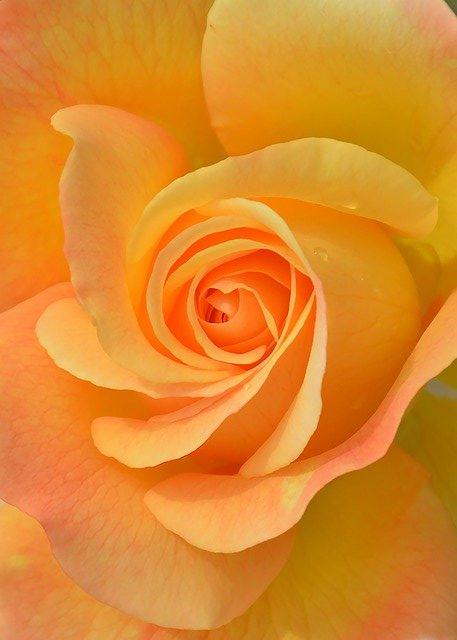 恋する乙女の下着事情