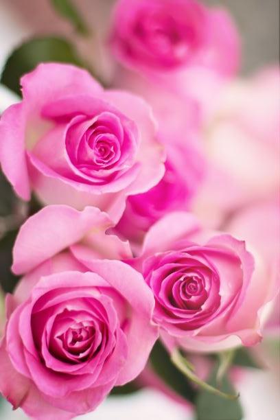 魔法の恋の行方・魔女の告白（シリーズ４・バージルとレティシア）