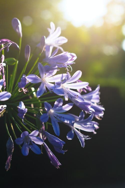 失われた断片・グラスとリチャード