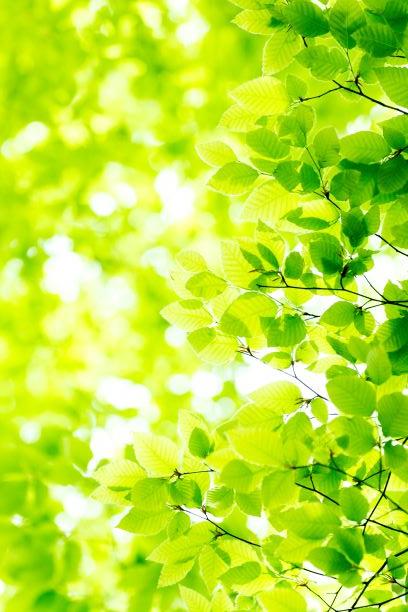 粗大ごみを拾ってしまった（番外編その４）大森VS巫女の恋愛格差問題