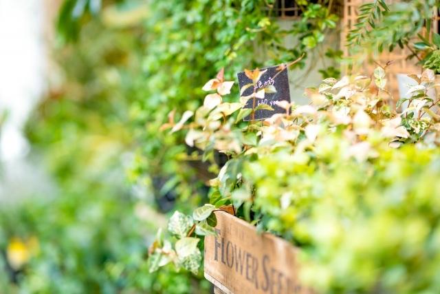 Diary  ～あなたに会いたい～