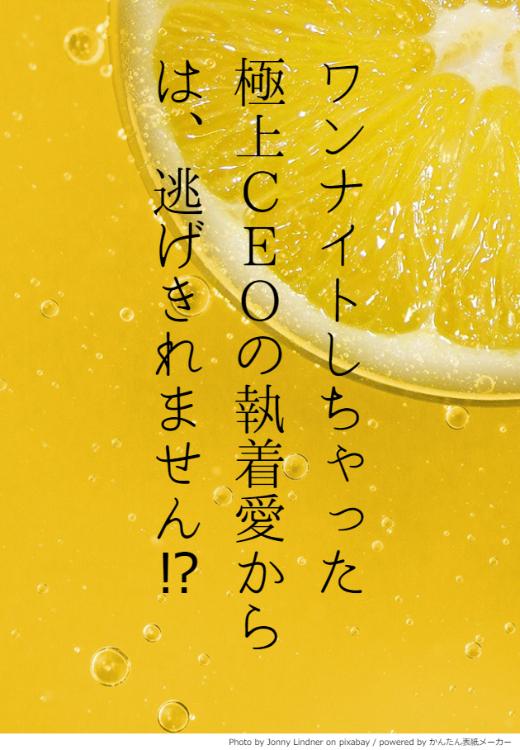 【書籍化】ワンナイトしちゃった極上CEOの執着愛からは、逃げきれません⁉