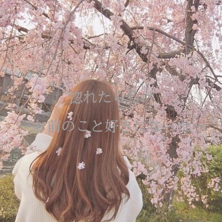 惚れたら負け─お前のこと好きになった─