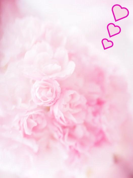 卒業式の告白を叶えたい元教え子に、こじらせ先生は溺愛される～再会は深愛の始まり