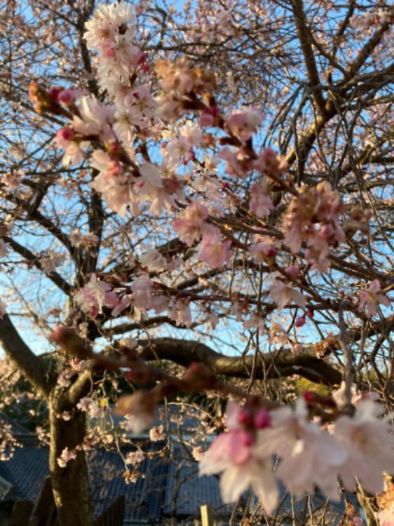 彼と出会って世界が変わった・・・